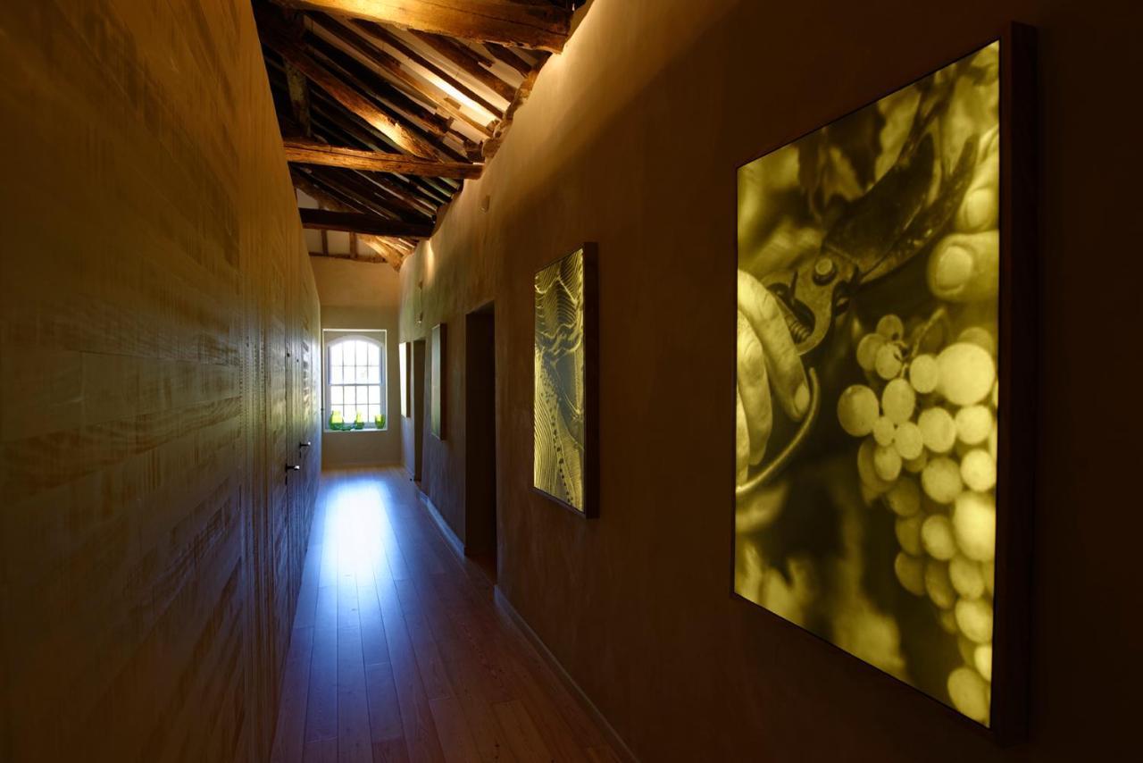 Quinta Da Casa Amarela- Casas Da Quinta - Turismo Em Espaco Rural Ламего Екстериор снимка