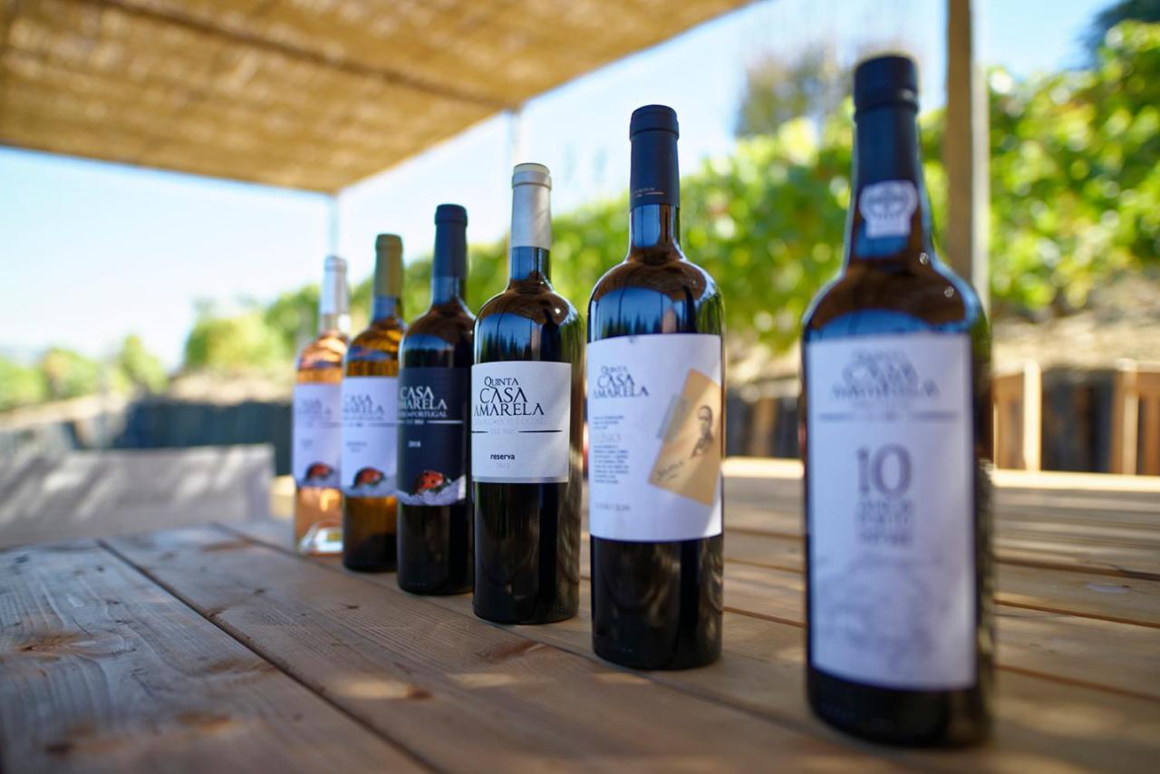 Quinta Da Casa Amarela- Casas Da Quinta - Turismo Em Espaco Rural Ламего Екстериор снимка