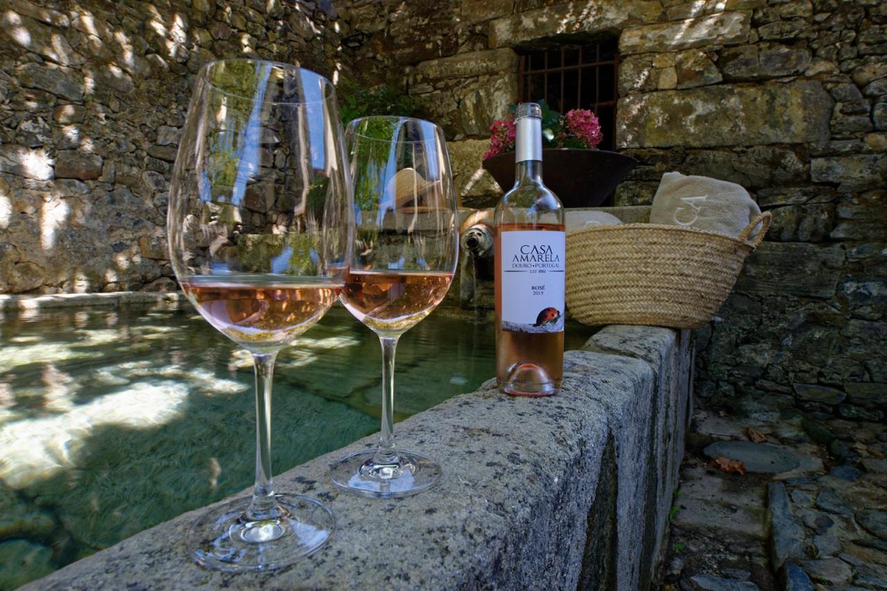 Quinta Da Casa Amarela- Casas Da Quinta - Turismo Em Espaco Rural Ламего Екстериор снимка