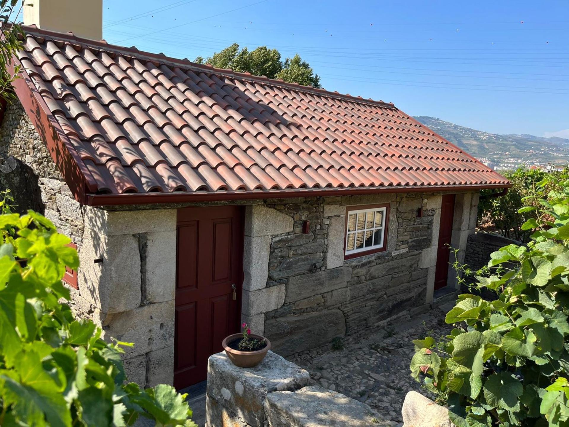 Quinta Da Casa Amarela- Casas Da Quinta - Turismo Em Espaco Rural Ламего Екстериор снимка